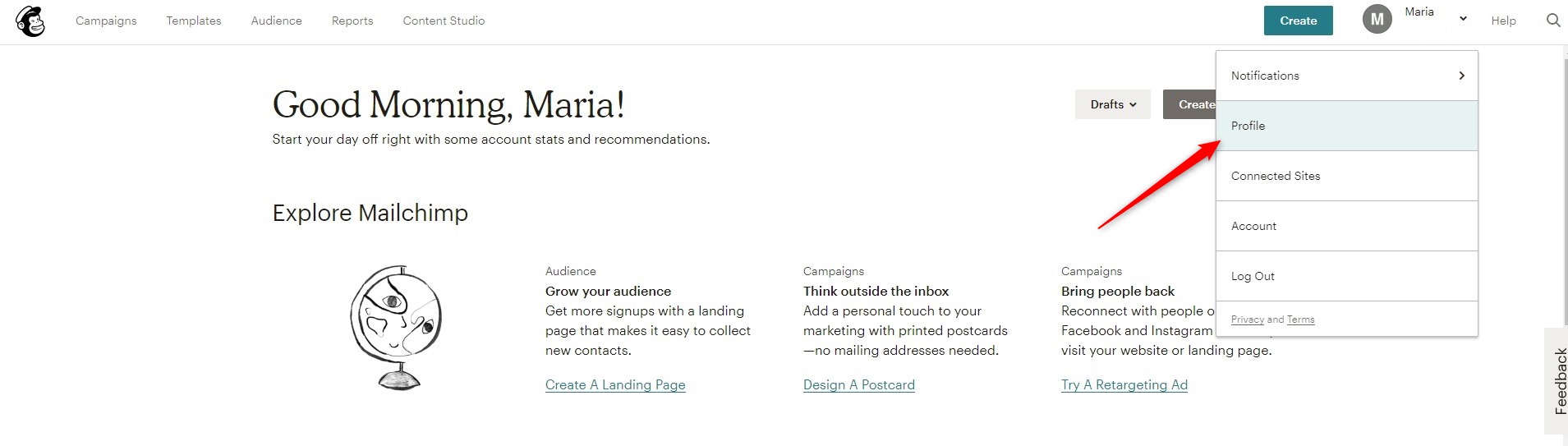 Edit your Mailchimp Profile